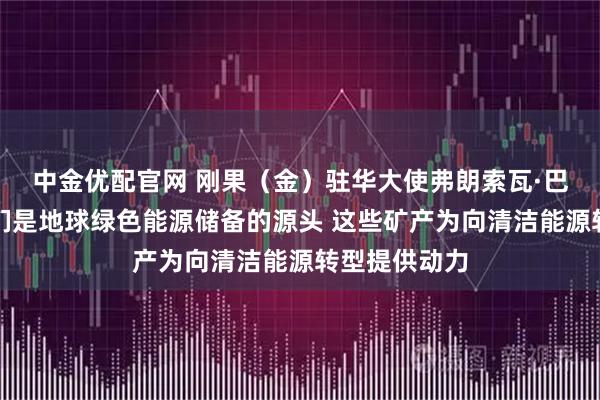 中金优配官网 刚果（金）驻华大使弗朗索瓦·巴卢穆内：我们是地球绿色能源储备的源头 这些矿产为向清洁能源转型提供动力