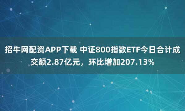 招牛网配资APP下载 中证800指数ETF今日合计成交额2.87亿元，环比增加207.13%